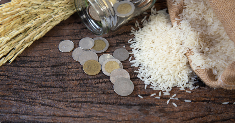 Zakat Orphan Support Orphans in Need